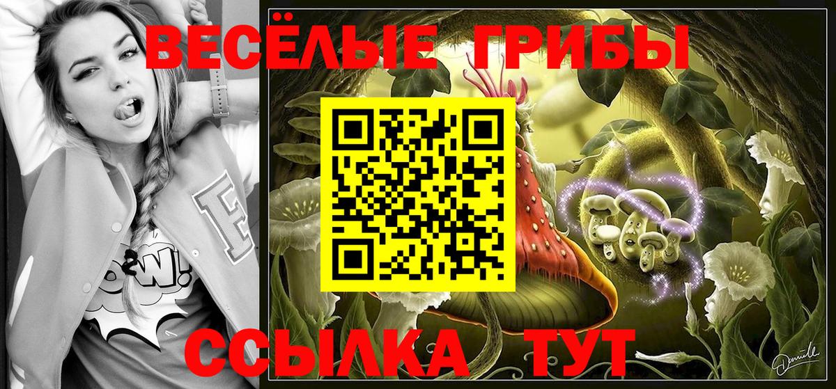 Фрязино  Псилоцибиновые грибы GOLDEN TEACHER  Галлюциногенные грибы прущие грибы  Вход с VPN 