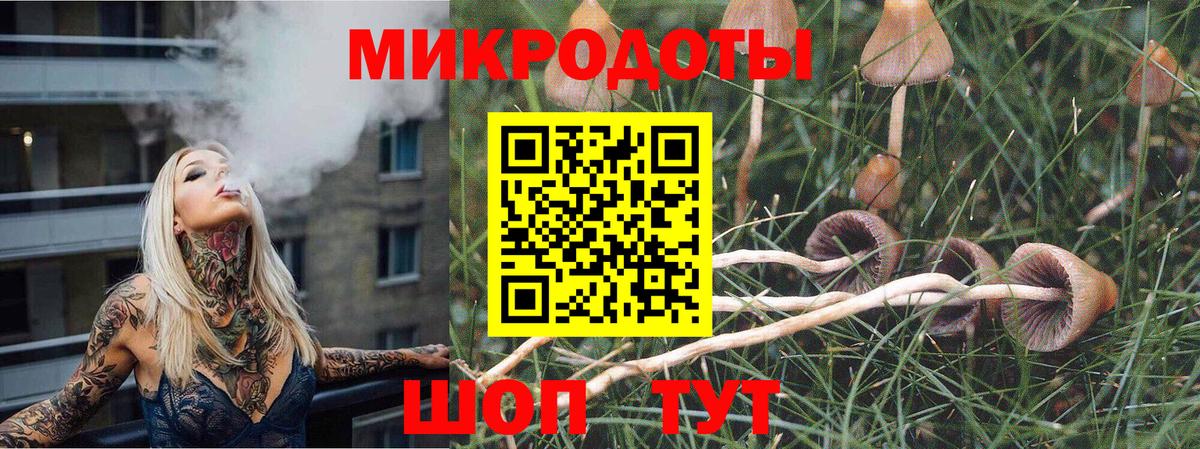 Псилоцибиновые грибы Magic Shrooms Фрязино