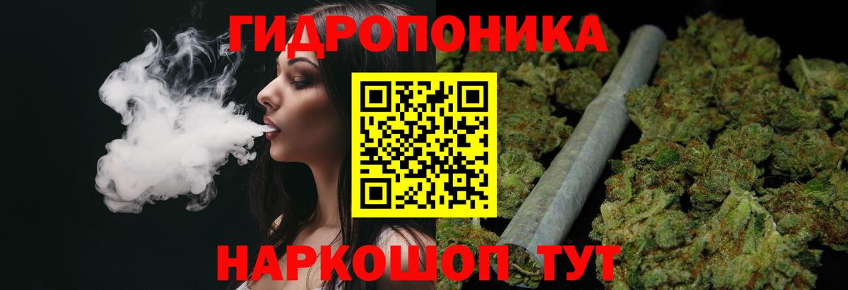 Фрязино  Канабис SATIVA & INDICA  Шишки марихуана планчик  Вход с VPN  Шишки марихуана гибрид 